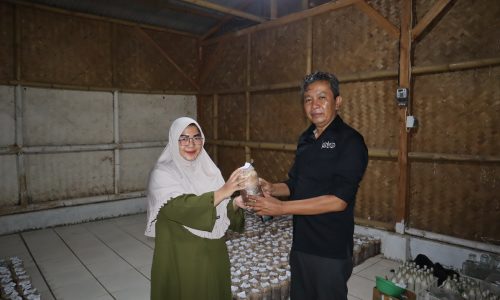 Program Studi Pendidikan Biologi menerima ± 1.000 Baglog Jamur dari Alumni